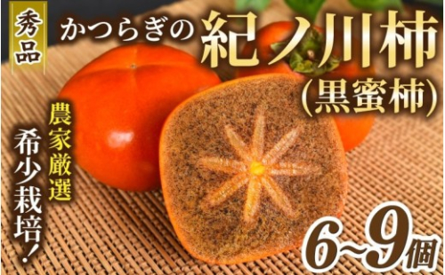 紀の川柿 (果実の中身が黒い!黒蜜柿)希少栽培! 秀品6個~9個 こだわり農家厳選【kgr044】 2497554 - 和歌山県紀美野町