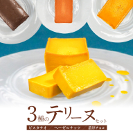 【テリーヌ専門店L】（約２００g）ピスタチオ・ヘーゼルナッツ・濃厚チョコの3種のテリーヌセット【グルテンフリー・保存料不使用】 お菓子 洋菓子 スイーツ デザート ナッツ ホワイトチョコ チョコ H173-051