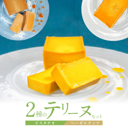 【テリーヌ専門店L】（約２００g）ピスタチオ・ヘーゼルナッツの2種のテリーヌセット【グルテンフリー・保存料不使用】ピスタチオ ナッツ ホワイトチョコ スイーツ デザート フレンチ H173-052 2497847 - 愛知県碧南市