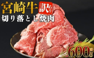 ＜訳あり 宮崎牛 切り落とし焼肉 合計600g＞入金確認後、14営業日以内に順次発送 【 焼肉用 焼き肉 やきにく 訳アリ品 わけあり A5等級 ランク 高級 お肉 和牛 黒毛和牛 ブランド牛 柔らかい お家焼肉 BBQ バーベキュー ご褒美 新鮮 鮮度 】