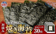 【 スピード発送 】 初摘み 焼き海苔 全形 30枚 定期便 3回 塩竈 浦戸産 海産物 特選 ギフト 熨斗 ｜ 焼き 板のり のり 小分け 大容量 ノリ 焼海苔 焼のり 乾海苔 おにぎり ご飯 米 おかず おやつ 給食採用 贈り物 東北  宮城県 塩釜 今野商店 4537459