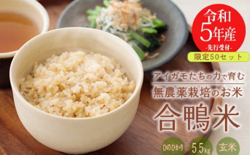 無農薬栽培 合鴨米ひのひかり（玄米）5.5kg