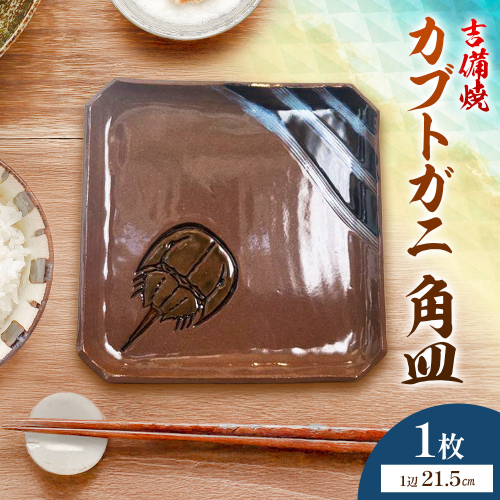 カブトガニ 角皿 吉備焼 21.5cm×21.5cm《30日以内に出荷予定(土日祝除く)》 吉備焼窯元 焼き物 工芸品 工芸 岡山県 笠岡市 お皿 皿 2498343 - 岡山県笠岡市
