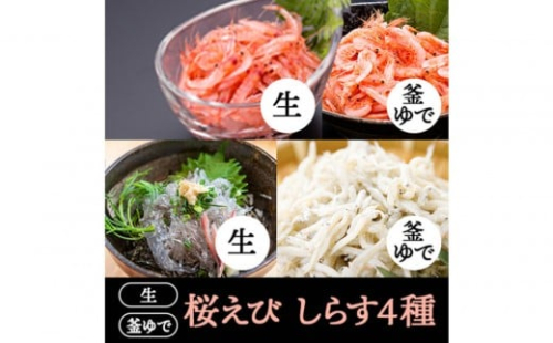 桜えび２種、しらす２種セット【配送不可：離島】 2498421 - 静岡県静岡市
