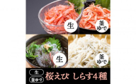 桜えび２種、しらす２種セット【配送不可：離島】