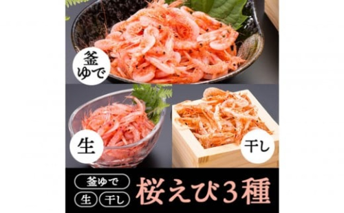 桜えび3種セット【配送不可：離島】 2498423 - 静岡県静岡市
