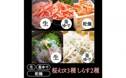 桜えび３種、しらす２種セット【配送不可：離島】 2498424 - 静岡県静岡市