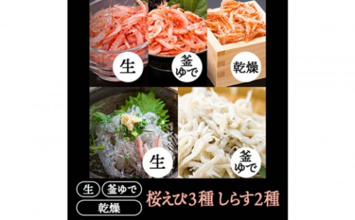 桜えび３種、しらす２種セット【配送不可：離島】 2498424 - 静岡県静岡市
