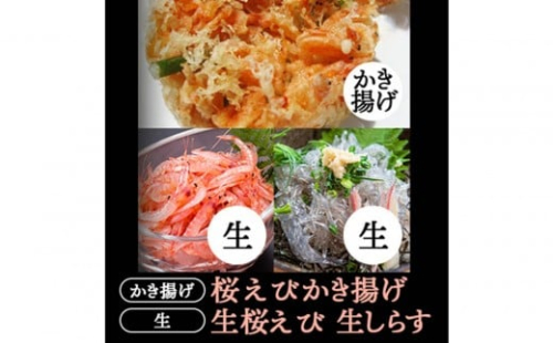 生桜えび、生しらす、桜えびかき揚げセット【配送不可：離島】 2498425 - 静岡県静岡市
