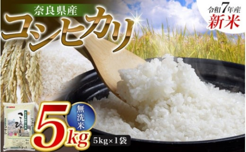【令和7年産米】無洗米 奈良県産 こしひかり 5kg（5kg×1袋）／ 全農パールライス 米 お米 白米 国産 奈良県 葛城市 こめ コメ ライス ご飯 ごはん ふっくら もちもち つやつや おいしい 美味しい 贈り物 国産 特産品 産地直送 数量限定 人気 おすすめ 5キロ 【prr007A】 2498426 - 奈良県葛城市
