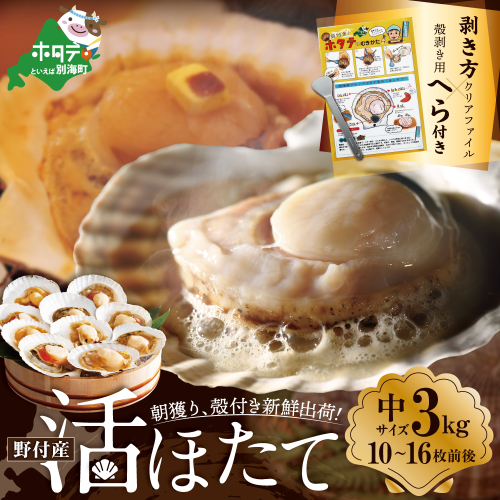 朝どり 新鮮出荷 活ホタテ 中サイズ 3kg活ほたて【UY0000015】 2498444 - 北海道別海町