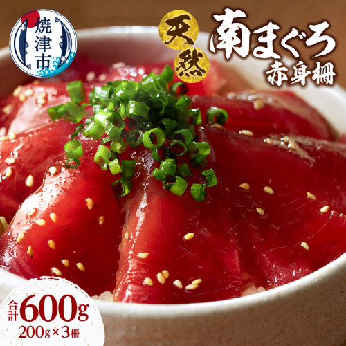 a16-200　天然 ミナミマグロ 赤身 柵 刺身 焼津 海の極 計600g 200g×3 2498534 - 静岡県焼津市