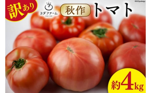 【2026年発送】 秋作 訳あり 桃太郎トマト 約4kg [ヨダファーム 山梨県 中央市 21470978] 規格外 家庭用 不揃い トマト とまと 野菜 やさい 4キロ 季節限定 期間限定 産地直送 山梨県産 訳アリ tomato【2026年10月下旬-12月下旬発送予定】 2498544 - 山梨県中央市