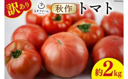 【2026年発送】 秋作 訳あり 桃太郎トマト 約2kg [ヨダファーム 山梨県 中央市 21470979] 規格外 家庭用 不揃い トマト とまと 野菜 やさい 2キロ 季節限定 期間限定 産地直送 山梨県産 訳アリ tomato【2026年10月下旬-12月下旬発送予定】 2498545 - 山梨県中央市