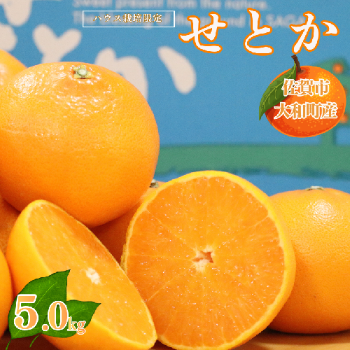 【1月中旬～2月下旬発送】佐賀市大和町産みかん「せとか」：B150-077 2498547 - 佐賀県佐賀市