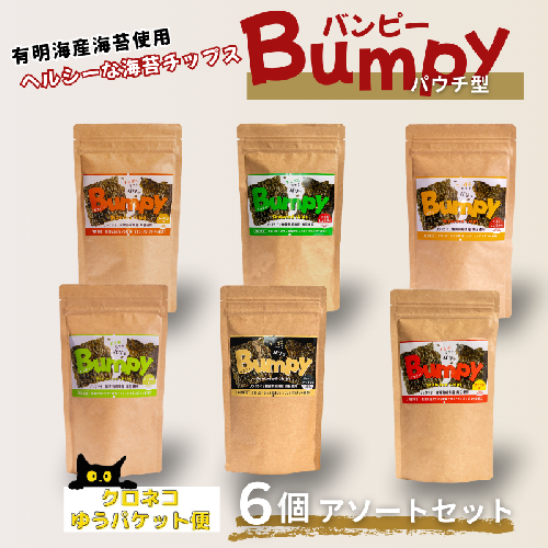 有明海産海苔使用 ヘルシーな海苔チップス「Bumpy（バンピー）」パウチ型6個アソートセット【クロネコゆうパケット利用】 フードロス削減 SDGs 有明海苔 有明海産 海苔 味付け海苔 スナック おやつ おつまみ：B100-068 2498550 - 佐賀県佐賀市