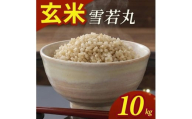 令和7年産【玄米】雪若丸　10kg(5kg×2袋) YA SC0647