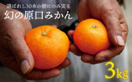みかん [12月中旬より配送] 幻の 原口みかん 約3kg [原口果樹園] [CCW004] 長崎 西海 みかん 原口みかん 完熟 甘い ミカン 柑橘 蜜柑 贈答 ギフト