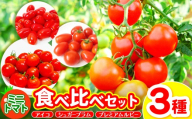 御杖村産 ミニトマト食べ比べセット(3種) | ミニトマト セット アイコ シュガープラム プレミアムルビー 野菜 旬 おいしい グルメ 奈良県 御杖村