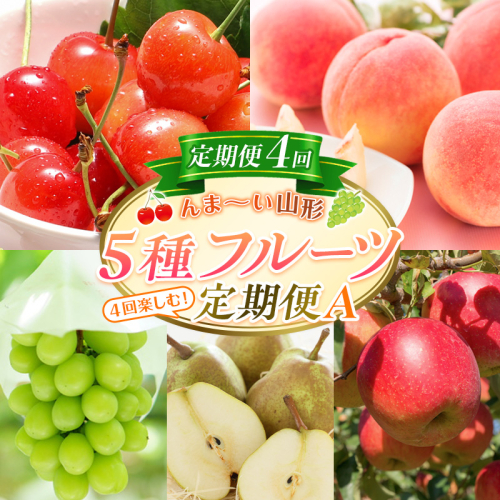 【定期便4回】☆んま～い山形☆5種フルーツ！4回楽しむ！定期便A(さくらんぼ佐藤錦、白桃、シャインマスカット、ラ・フランス、サンふじりんご) FY25-473 2499548 - 山形県山形市
