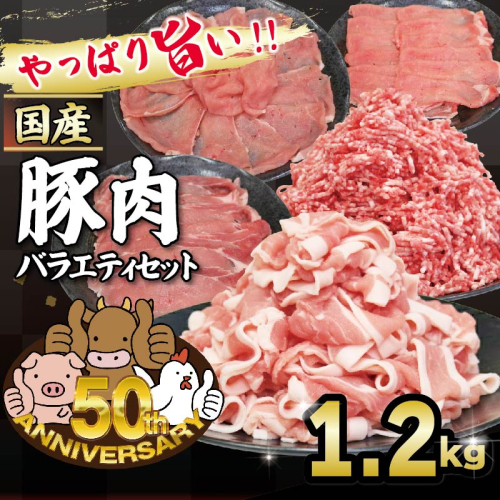 豚肉 バラエティセット 約1.27kg｜土佐備長豚 国産豚肉 国産ぶた 備長炭育ち お試し しゃぶしゃぶ スライス 生姜焼き 豚こま ミンチ 冷凍 小分け 家庭用 贈答用 業務用 吉岡精肉店 高知県 室戸市 2499572 - 高知県室戸市