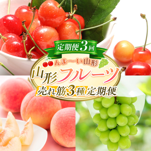 【定期便3回】☆んま～い山形☆山形フルーツ売れ筋3種定期便(さくらんぼ佐藤錦／白桃／シャインマスカット) FY25-474 2499574 - 山形県山形市