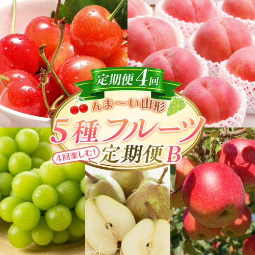 【定期便4回】☆んま～い山形☆5種フルーツ！4回楽しむ！定期便B(さくらんぼ佐藤錦／白桃／シャインマスカット／ラ・フランス／サンふじりんご) FY25-476 2499578 - 山形県山形市