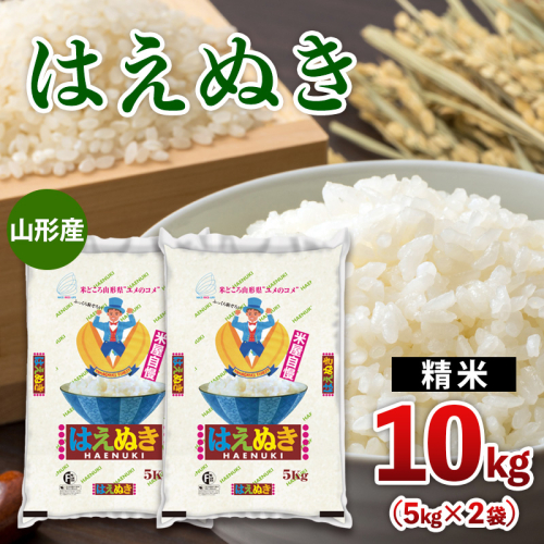 山形産 はえぬき 10kg(5kg×2) FZ26-773 2499582 - 山形県山形市