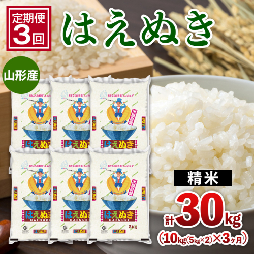 【定期便3回】山形産 はえぬき 10kg(5kg×2)x3ヶ月(計30kg) FY25-478 2499583 - 山形県山形市