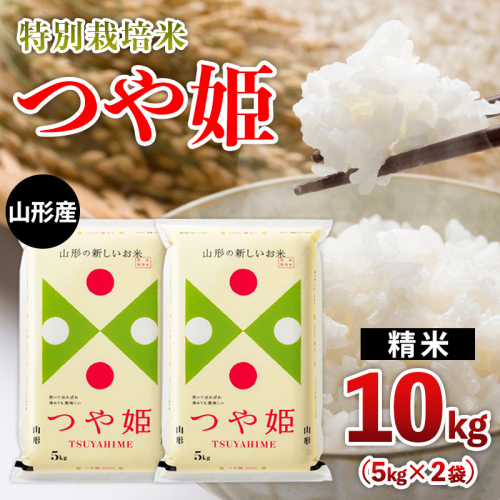 山形産 特別栽培米 つや姫 10kg(5kg×2) FY25-472 2499750 - 山形県山形市