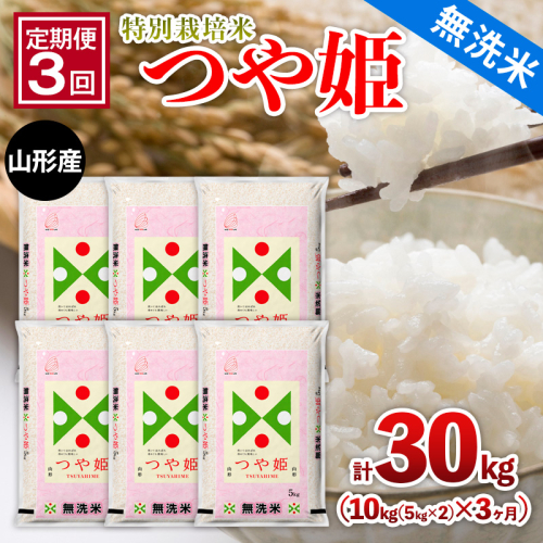 【定期便3回】山形産 特別栽培米 【無洗米】 つや姫 10kg(5kg×2)x3ヶ月(計30kg) FY25-480 2499752 - 山形県山形市