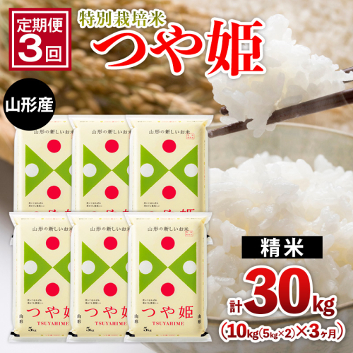 【定期便3回】山形産 特別栽培米 つや姫 10kg(5kg×2)x3ヶ月(計30kg) FZ26-771 2499754 - 山形県山形市