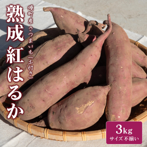 【数量限定】境町産 さつまいも 熟成紅はるか 小さめサイズ (SS～S) 約3kg 土付き 不揃い ねっとり 甘い 国産 熟成さつまいも べにはるか 芋 生芋 焼き芋 サツマイモ 無選別 茨城県 K2691 2499851 - 茨城県境町