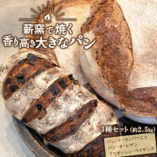 【薪窯焼き】香り高い大きなパン 3種セット (カンパーニュ・レザン・ブリオッシュ) ハード系パン レーズン パン セット K2686 2499929 - 茨城県境町