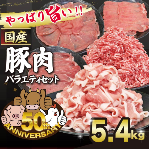 豚肉 満足 バラエティセット ぶたにく ぶた 約5.4kg 土佐備長豚 国産豚肉 国産ぶた 備長炭育ち しゃぶしゃぶ スライス 生姜焼き 豚こま ミンチ 冷凍 小分け 家庭用 贈答用 業務用 ふるさと納税 高知県 室戸市 2499949 - 高知県室戸市