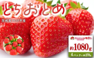 茨城県産とちおとめ 約1080g │ いちご イチゴ 苺 とちおとめ 果物 フルーツ 茨城県 つくば市
