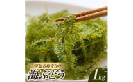 伊是名島育ちの海のグリーンキャビア 海ぶどう 1kg【1660059】