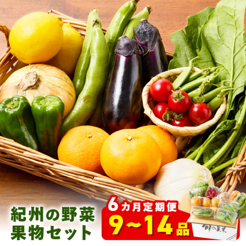 紀州の野菜・果物セット（9～14品目）定期便年6回 2500737 - 和歌山県御坊市