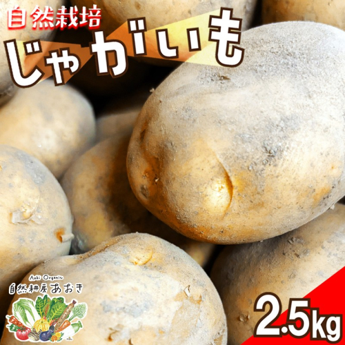 自然栽培じゃがいも 2.5kg 京都・京丹後産 自然栽培 旬野菜　じゃがいも 芋 いも 野菜 やさい 根菜 旬 京都 京丹後 自然栽培 農薬不使用
 2500742 - 京都府京丹後市