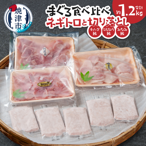 a15-680　まぐろ食べ比べセット約1.2Kg ネギトロ 鮪切り落とし キハダ びんちょう みなみ鮪 2500804 - 静岡県焼津市