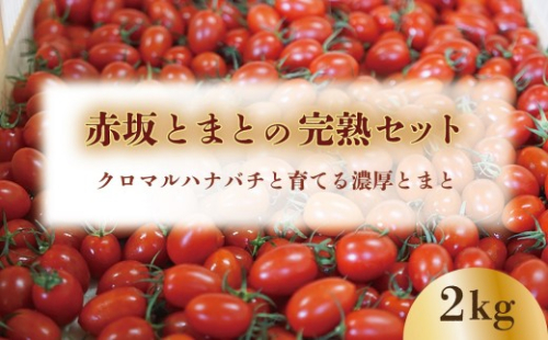 【期間限定（３～７月）】赤坂とまとの完熟セット　DE-1 2500866 - 山梨県甲斐市