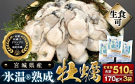 宮城県産 かき 氷温熟成 牡蠣 生食用(冷凍)170g × 3袋 510g 生食 牡蠣むき身 小分け むき身 むき牡蠣 カキ オイスター 濃厚 冷凍かき 宮城 小分け 冷凍 バラバラ冷凍 冷凍カキ かき 牡蠣 海鮮 魚介 貝類 海の幸 BBQ 家庭用 まるたか水産 宮城県 石巻市 宮城 石巻 防災減災