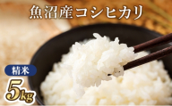 [№5762-1258]【令和7年産】魚沼産コシヒカリ(精米)5kg