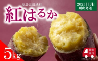 紅はるか さつまいも 5kg  <2025年11月以降順次発送>|さつまいも サツマイモ 焼き芋 やきいも べにはるか ポテト ぽてと おやつ 熟成 芋 定番 焼き芋 アウトドア お得用  スイーツ 自然食品 食物繊維