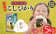 令和7年度産 精米 こしひかり 5kg｜コシヒカリ お米  2025年産 しんまい おこめ ライス 精米 R7 ご飯 ごはん 数量限定 げんてい 白米 ブランド米 令和7年度産 つや もちもち 新地町