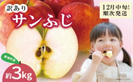りんご サンふじ 訳あり  約3kg 1箱  | 果物 くだもの リンゴ フルーツ 旬 産地直送 農家直送 食品 人気 おすすめ 送料無料 お取り寄せ 福島県 新地町 訳アリ わけあり 葉とらず サンフジ フジ ふじ りんご
