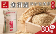 [№5762-1327]令和7年産　玄米　魚沼産コシヒカリ　30kg　1袋