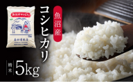 [№5762-1331]令和7年産 真砂屋厳選 魚沼産コシヒカリ（精米）5kg お米 コメ こしひかり 新潟県 魚沼市 魚沼