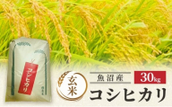 [№5762-1333]【令和7年産】魚沼産コシヒカリ(玄米)30kg 米 コメ こしひかり ブランド米 お取り寄せ 魚沼市
