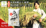 [№5762-1324]無洗米「米食味鑑定士 厳選」魚沼産コシヒカリ 3kg 12ヵ月連続お届け　米 こめ お米 コメ こしひかり 新潟県 魚沼市 魚沼 ライス ご飯 主食 新潟県産 産地直送 時短